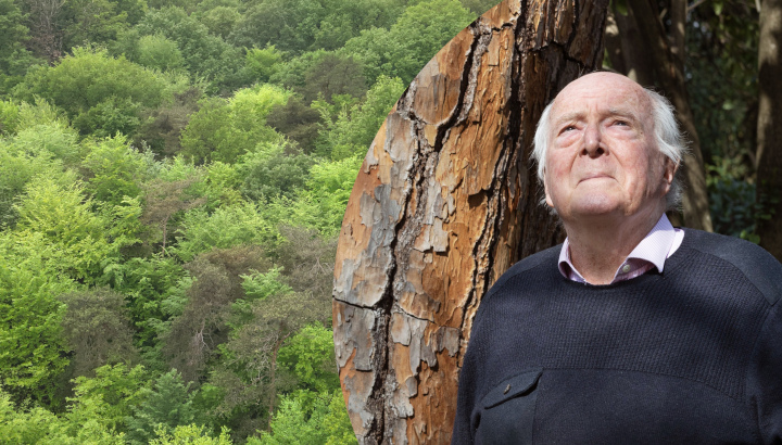 Des racines à la canopée : conférence de Francis Hallé le 17 octobre à Poitiers